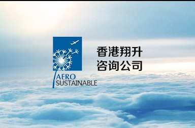 航空公司網(wǎng)站建設(shè),咨詢公司網(wǎng)站制作開發(fā)